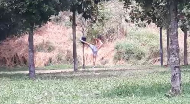 Pozzuoli, kickboxer prende a calci e pugni un albero nel parco pubblico