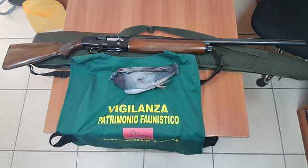 Licola, uccide un colombo con una fucilata: denunciato e fucile sequestrato