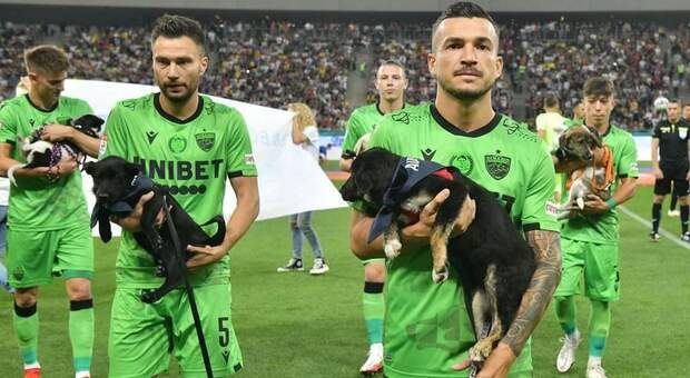 Romania, calciatori in campo per un anno con in braccio i cuccioli randagi per favorire le adozioni