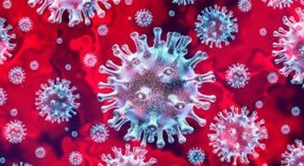 Trovati enzimi hacker nel codice genetico del virus: passi avanti sull'immunità