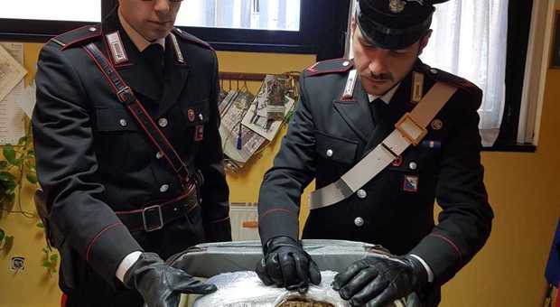 Una valigia piena di droga a Frascati, sequestrati 3,5 kg di marijuana