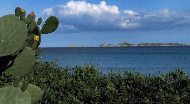 Sardegna, imprenditore romano acquista l'isola di Serpentara: l'area non è edificabile