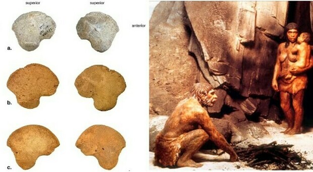 Ritrovata anca di un neonato la cui stirpe è sconosciuta: il reperto è di 45 mila anni fa. Scoperta una nuova specie umana?