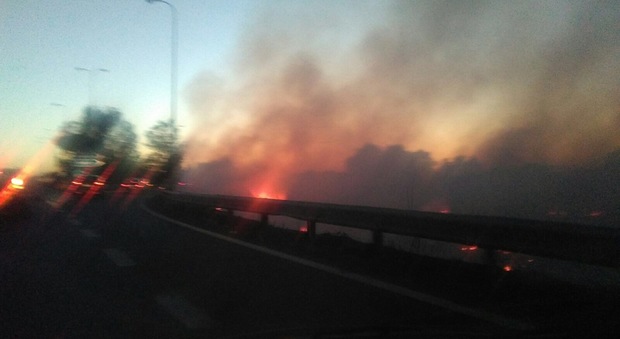 Napoli, incendio sull'asse mediano paura in auto: stop al traffico | Foto