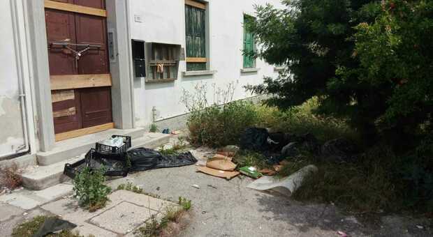 Sacchi di immondizia abbandonati, erba alta e topi a Monigo: petizione al sindaco