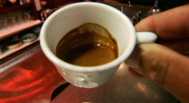 La tazzina di caffè potrebbe diventare un lusso. Il clima che cambia e l'inquinamento rischiano di ridurne la produzione mondiale entro il 2050