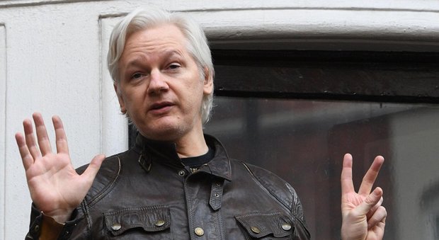 La giornalista uccisa a Malta, Assange offre 20mila dollari a chi fornisce informazioni