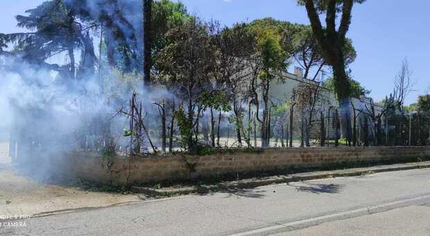 Civita Castellana, un incendio (forse doloso) arriva a sfiorare una abitazione