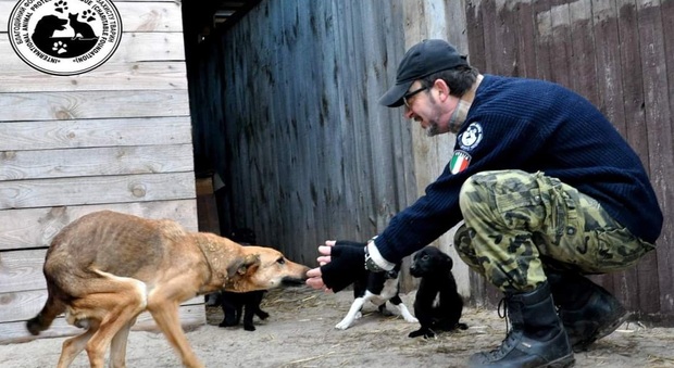 Andrea Cisternino, insieme ad uno dei cani ospitati nel suo rifugio a Kiev (immag diffusa su Fb da Andrea Cisternino)