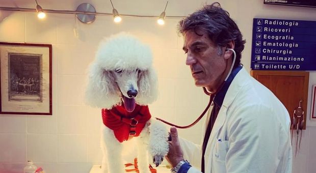 Federico Coccìa: «Acquistate in allevamenti italiani, ma se potete scegliete un cane anziano in canile»