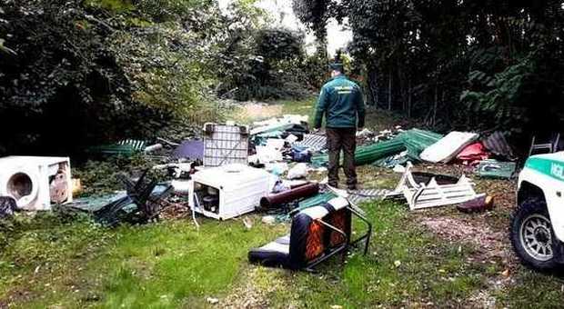 ​Discarica a cielo aperto scoperta in un bucolico e romantico boschetto