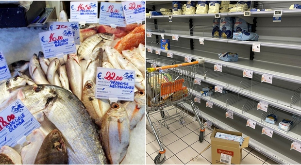 Gli effetti della guerra e dei rincari: dall'olio di girasole al pesce, gli alimenti che potrebbero mancare nei supermercati