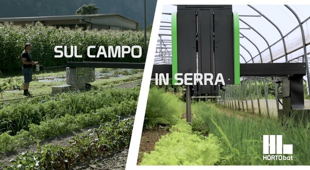 In Campania le aziende agricole punteranno su tecnologia «Hortobot»