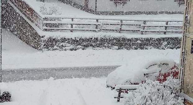 Forte nevicata sulle Dolomiti, alberi caduti, strade interrotte: rischio black out