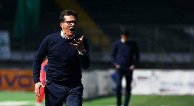 Juve Stabia, Novellino promuove i gialloblù dopo il derby coi Lupi