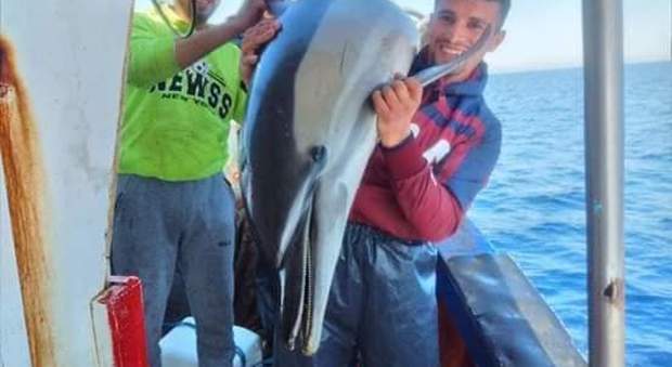 Il povero delfino finito nella rete oggetto dei selfie soddisfatti dei pescatori (immagini diffuse da Houtiyat associazione tunisina studio cetacei su Fb)
