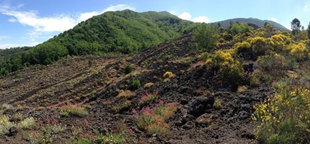 I sentieri del Vesuvio al crepuscolo: escursione gratuita dall'Osservatorio