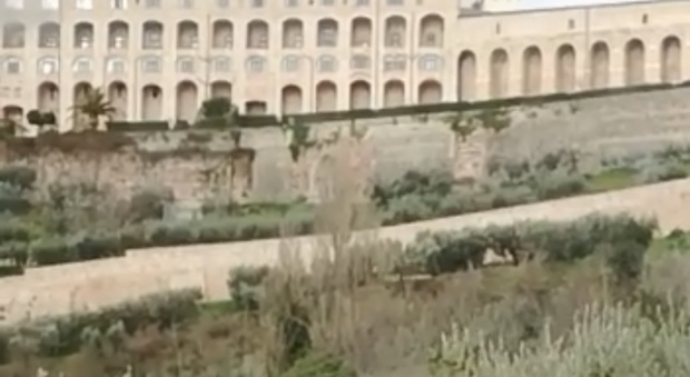 Il Sacro Convento di Assisi