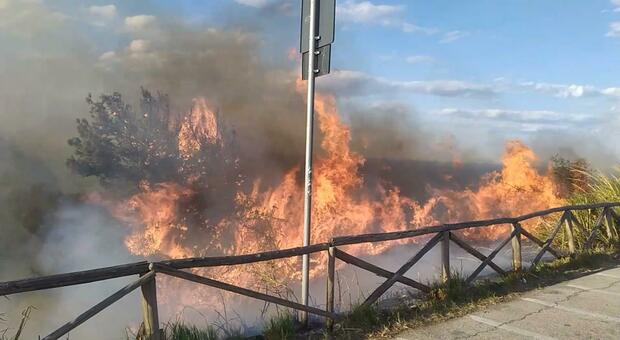 Incendio a Portonovo, ora spunta l’ipotesi del dolo: indagini ancora in corso