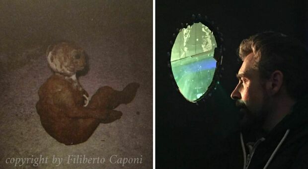 Esistono gli Ufo? Filiberto Caponi e la foto dell'E.T. dei Sibillini: lo straordinario caso al convegno del Cufom a Falconara (Foto di Filiberto Caponi)