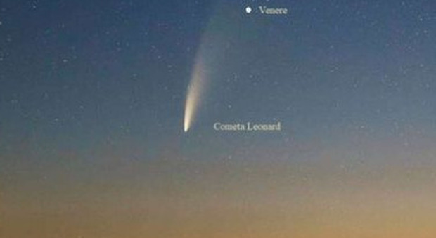 La cometa Leonard si illumina per il Natale: per vederla basta un binocolo