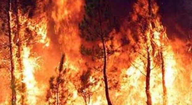 Nei boschi 4 incendi dolosi: scatta la caccia al piromane