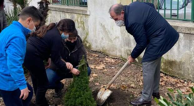 Pompei, tutelare l'ambiente: il sindaco aiuta i bambini a piantare gli alberi