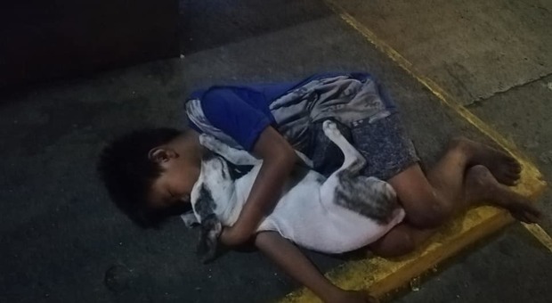 Bambino dorme in strada abbracciato al suo cane tra l'indifferenza dei passanti, la foto choc