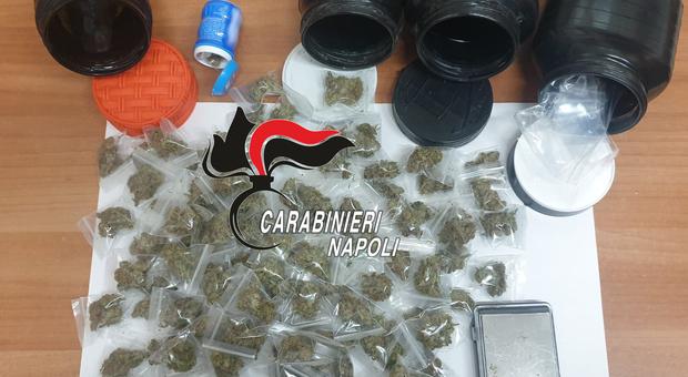 Quattro barattoli di marijuana nascosti tra i cespugli: arrestato pusher a Qualiano