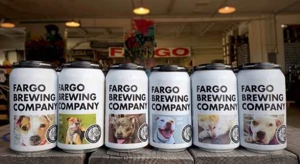 Foto dei cani abbandonati stampate sulle lattine di birra: l'idea per favorire le adozioni (immagine pubblicata da Fargo Brewing su Twitter)