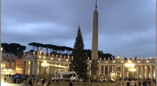 Natale: la Regione dona l'albero al Papa, l'accensione a Roma