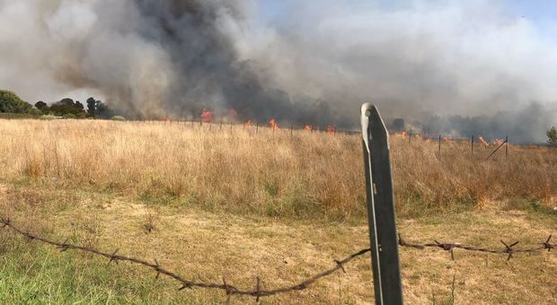 Vasto incendio a Latina, minacciate le abitazioni nella zona di via dei Volsci