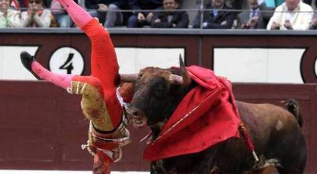 Spagna, quattro morti nelle corse dei tori e un torero ferito gravemente