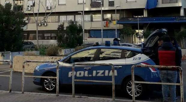 Ladro sorpreso dal fattore uccide un montone a morsi, choc a Tor Bella Monaca