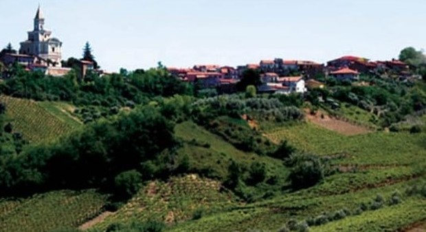 Cantina Tollo, il biologico mare e monti d'Abruzzo. A difesa dell'ambiente con 13 milioni di bottiglie