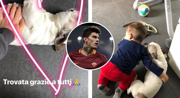 Roma, Perotti ritrova il cane smarrito dopo l'appello sui social
