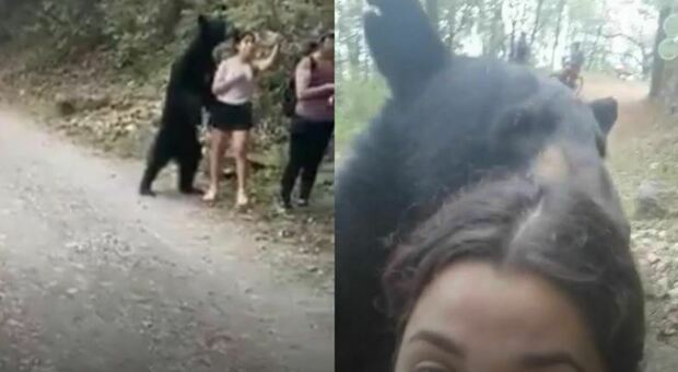 L'orso nero "abbraccia" una ragazza nel parco che ne approfitta per un selfie. (immagini e video pubblicati da Rafa @RafaElorduy su Twitter)