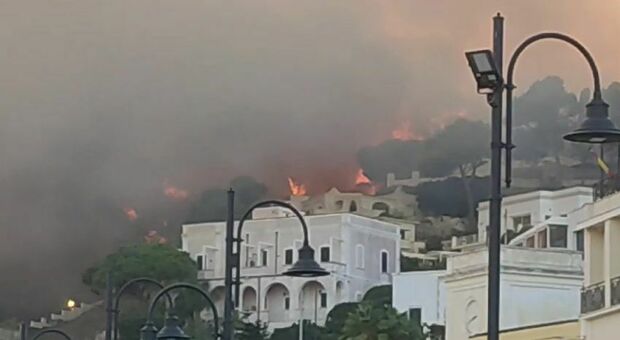 Incendio a Santa Cesarea Terme: fiamme alimentate dal vento. Case evacuate, brucia anche la discoteca Malé