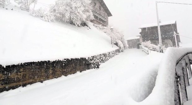 Sulle Dolomiti è tornato l'inverno. Forte nevicata: alberi caduti, strade interrotte e rischio black out