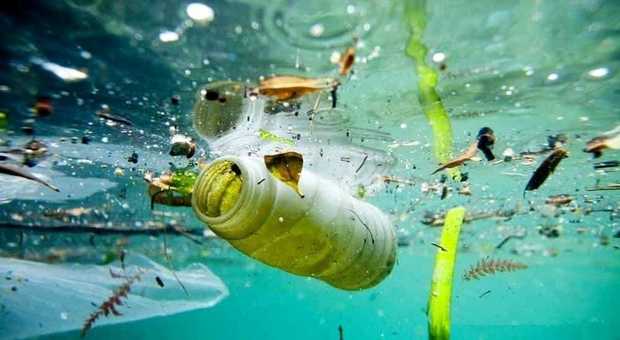 Plastica in spiaggia: divieti ignorati e zero controlli. I sindaci: «Poche risorse»