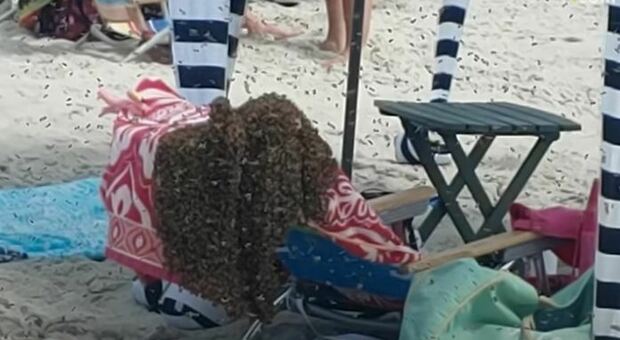Sciame di api invade una spiaggia negli Stati Uniti