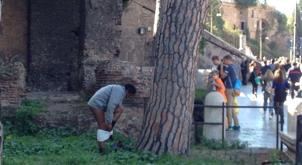 Scempio a Piazza Venezia, uomo fa i bisogni nei giardini e resta nudo i turisti lo fotografano