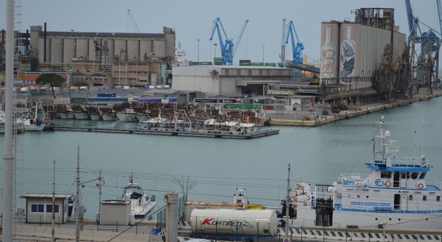 Tragedia al porto di Ancona Marittimo stroncato da un infarto