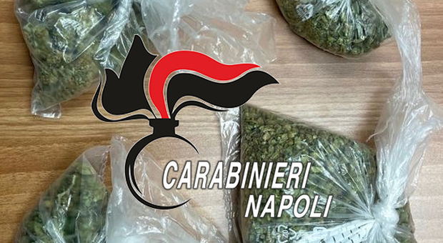 Napoli: in auto con le dosi di marijuana, arrestato spacciatore polacco