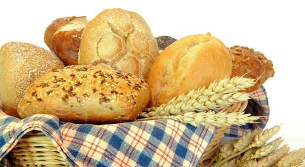 Grano, farine e bollette: l’escalation dei costi colpisce pane e pasta. L'allarme dei produttori. Vecchi e nuovi prezzi: ecco gli aumenti