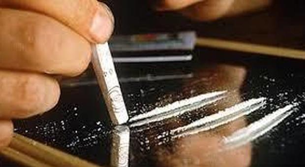 Presa banda di spacciatori: sequestrati 300 grammi di droga