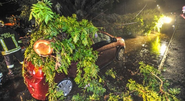 Ostia, albero cade e centra due auto al semaforo: due ragazze ferite in ospedale