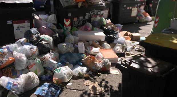 Roma, scatta l'allarme salute a causa dei rifiuti: «Ai cassonetti usate i guanti»