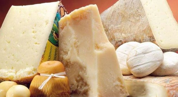 L'Ue all'Italia: "Permettere la produzione di formaggio anche senza latte"