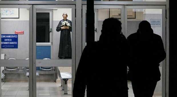 Napoli: formiche nell'ospedale San Giovanni Bosco, infermieri scagionati dal giudice del lavoro